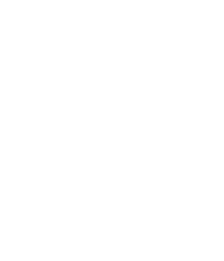 TikTok_icon